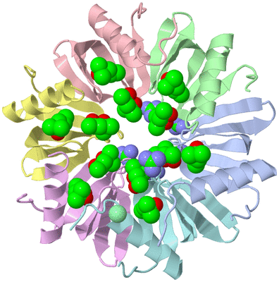 Image Biological Unit 1