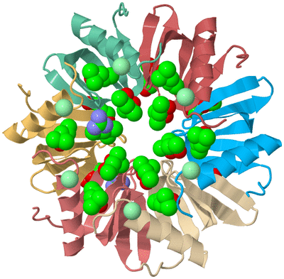 Image Biological Unit 2