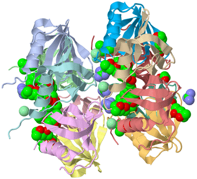 Image Biological Unit 3