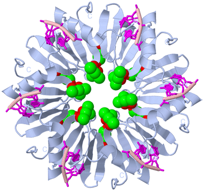 Image Biological Unit 1