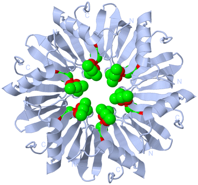 Image Biological Unit 2