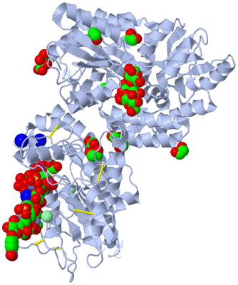 Image Biological Unit 1