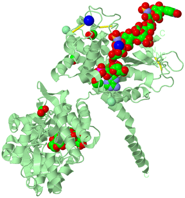 Image Biological Unit 2