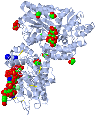 Image Biological Unit 1