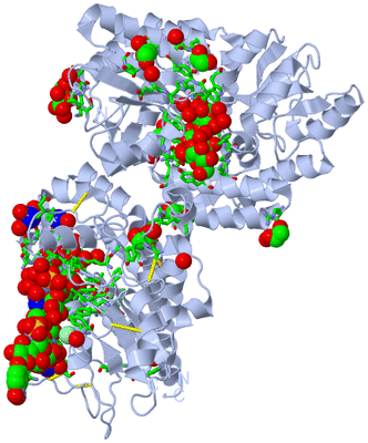 Image Biol. Unit 1 - sites