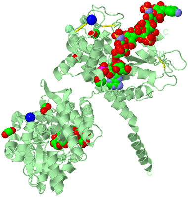 Image Biological Unit 2