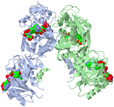 Image Asym./Biol. Unit