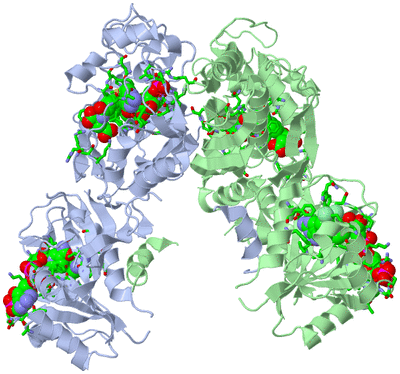 Image Asym./Biol. Unit - sites