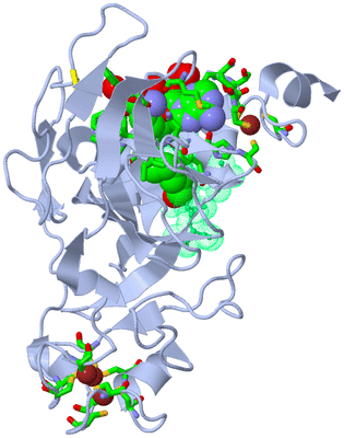 Image Biol. Unit 1 - sites