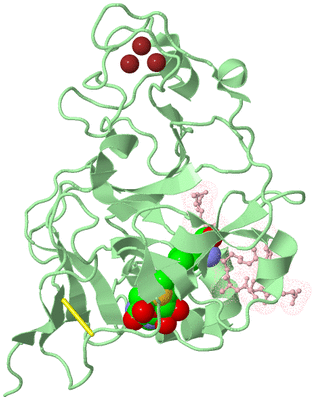 Image Biological Unit 2