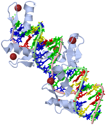 Image Biological Unit 1