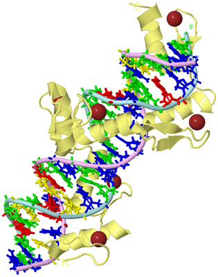 Image Biological Unit 2