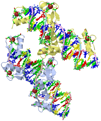 Image Asym. Unit - sites