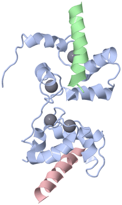 Image NMR Structure - model 1