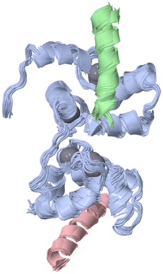 Image NMR Structure - all models