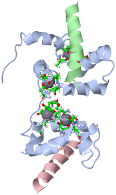 Image NMR Structure - model 1, sites