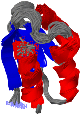 Image NMR Structure - all models