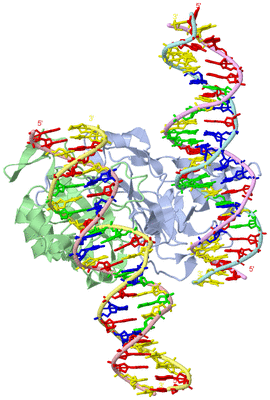 Image Biological Unit 1