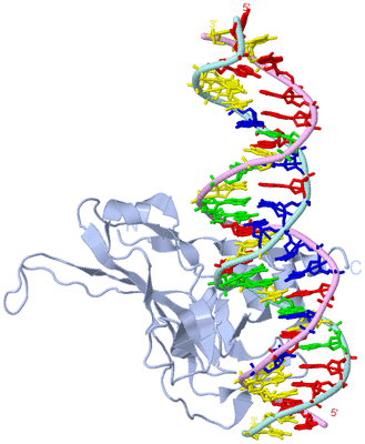 Image Biological Unit 2