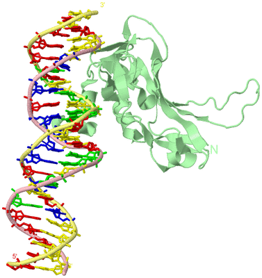 Image Biological Unit 3