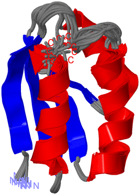 Image NMR Structure - all models