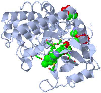 Image Biol. Unit 1 - sites