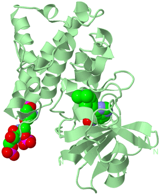 Image Biological Unit 2