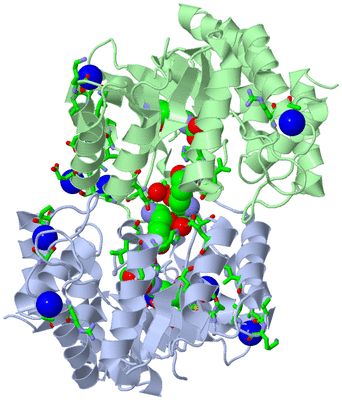 Image Asym./Biol. Unit - sites