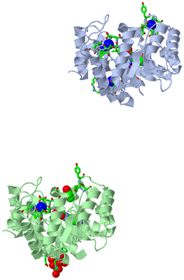 Image Asym./Biol. Unit - sites