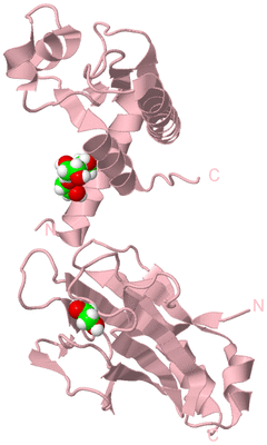 Image Biological Unit 3