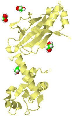 Image Biological Unit 4