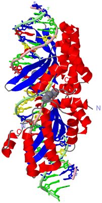 Image Asym./Biol. Unit