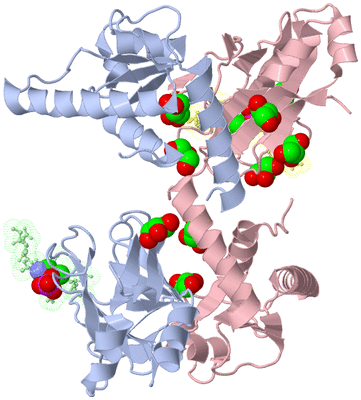 Image Biological Unit 3