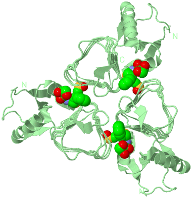 Image Biological Unit 2