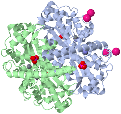 Image Biological Unit 1