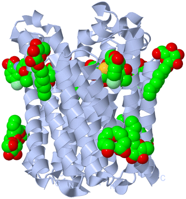 Image Biological Unit 1