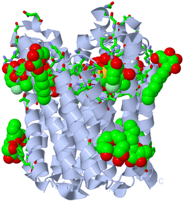 Image Biol. Unit 1 - sites