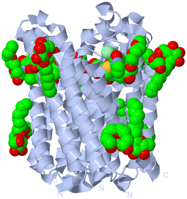 Image Biological Unit 1