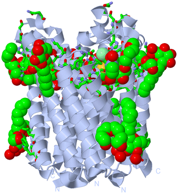 Image Biol. Unit 1 - sites