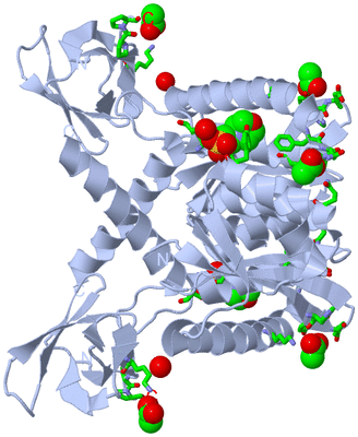 Image Biol. Unit 1 - sites