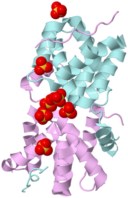 Image Biological Unit 3