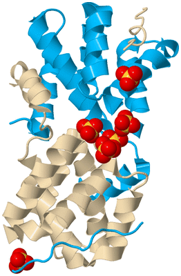 Image Biological Unit 5