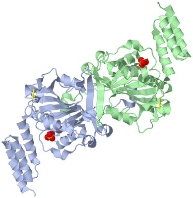 Image Asym./Biol. Unit