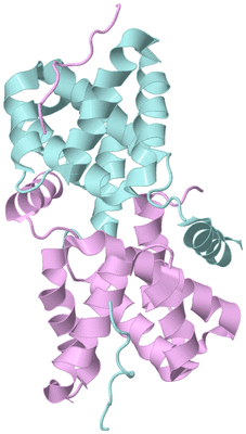 Image Biological Unit 3