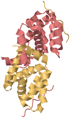 Image Biological Unit 4