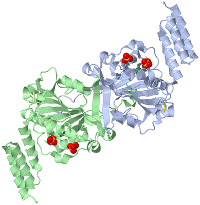 Image Asym./Biol. Unit