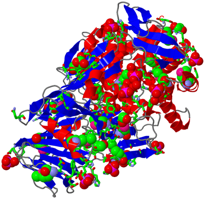 Image Asym./Biol. Unit - sites