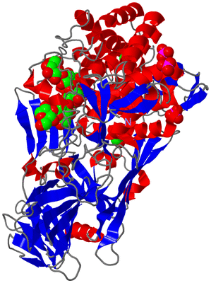 Image Asym./Biol. Unit