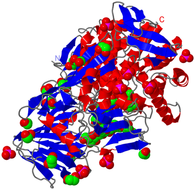 Image Asym./Biol. Unit