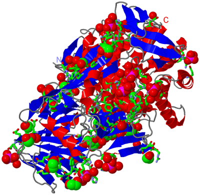 Image Asym./Biol. Unit - sites